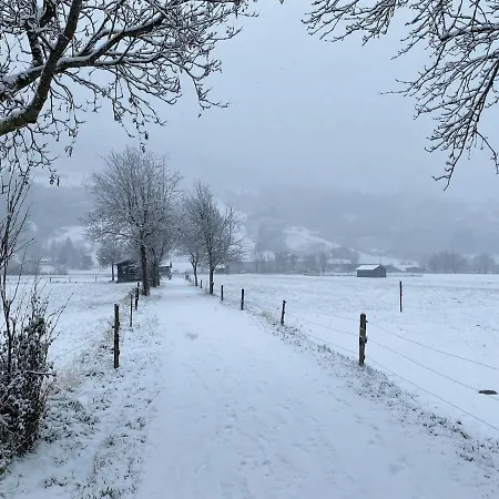 公寓 Ferienwohnung Central Bad Hofgastein 巴特霍夫加施泰因