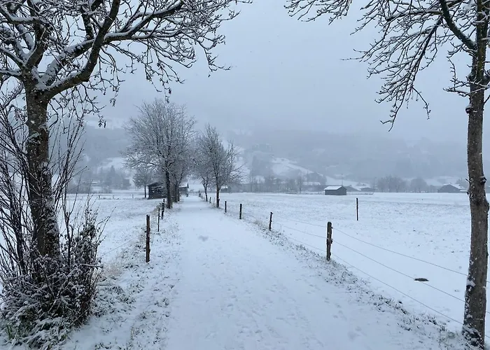 公寓 Ferienwohnung Central Bad Hofgastein 巴特霍夫加施泰因